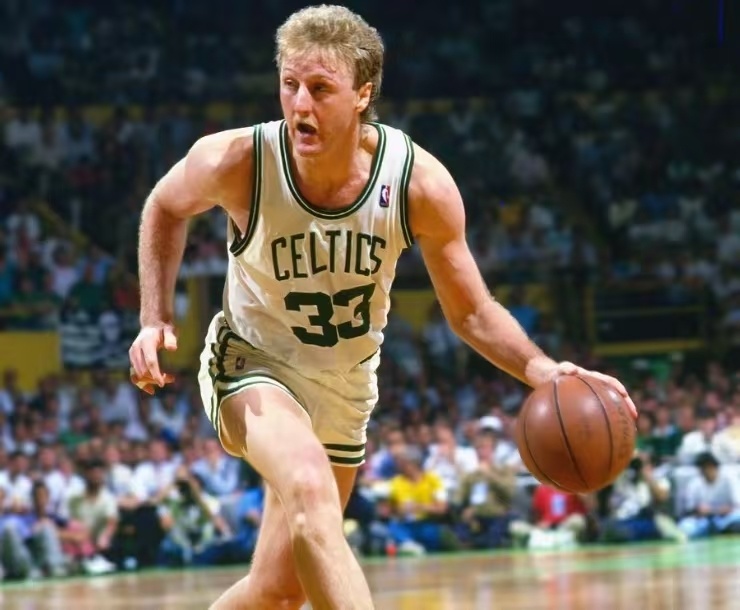 激励着森林 激励着森林