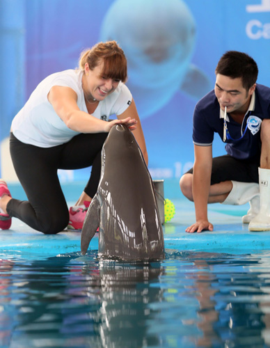 一周两赛甚 一周两赛甚