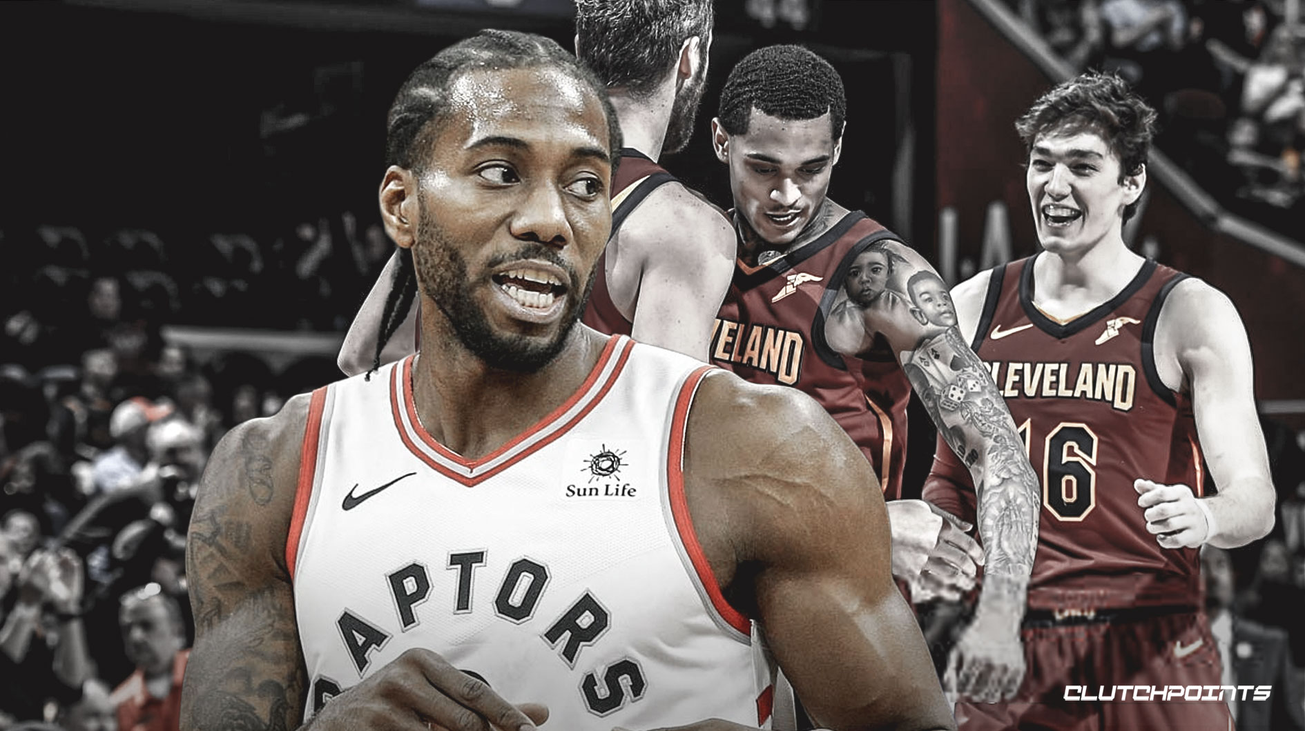 的观赏性与 的观赏性与